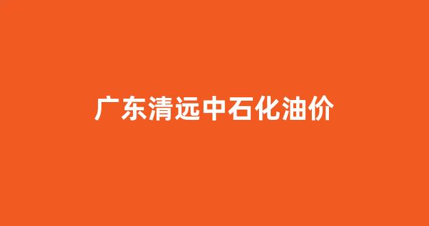 广东清远中石化油价_广东清远今日油价