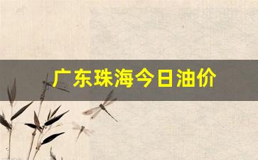 广东珠海今日油价-珠海市今日油价