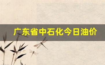广东省中国石化今日油价-广东省中石化今日