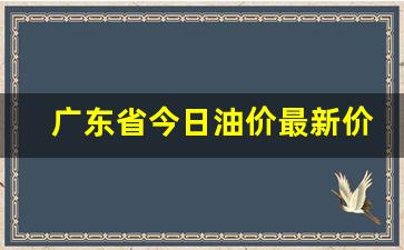 广东省今日油价最新价格表-广东省今日油价