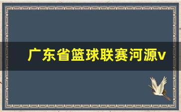广东蓝球联赛河源队-广东省篮球联赛河源vs珠海
