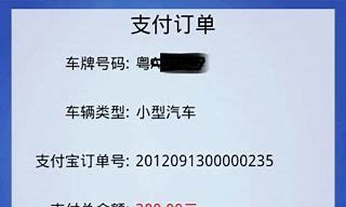 广东省违章查询掌付通_广东交通罚款自助缴