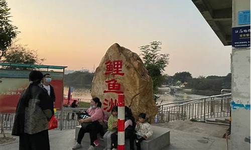 广东2021油价_广东石排这边的油价