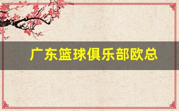 广东篮球俱乐部欧总-广东篮球俱乐部老板