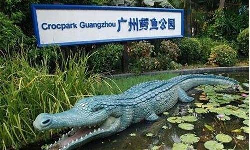 广东鳄鱼公园门票价格
