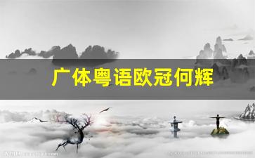 广体粤语欧冠何辉-何辉粤语足球直播