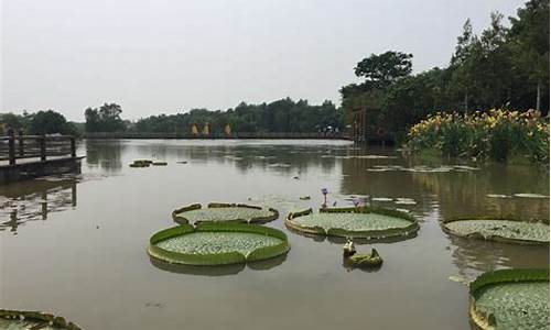 广州南沙湿地公园要门票吗_广州南沙湿地公园开放时间