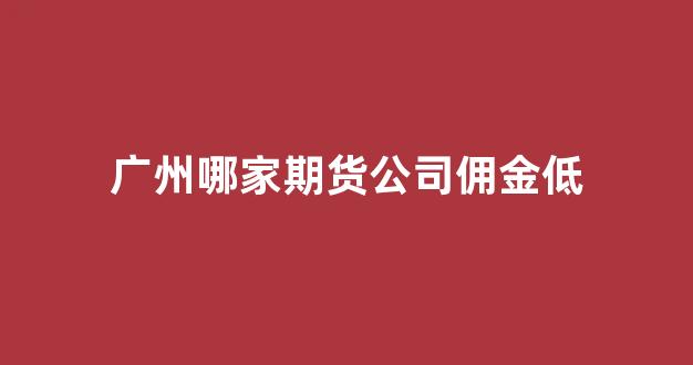 广州哪家期货公司佣金低(期货哪家佣金最低)_https://www.gfdzclz.com_科创板_第1张