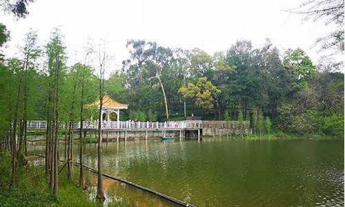 梦见死去的外公叫我回家_广州天鹿湖森林公园蝴蝶