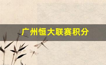 广州恒大联赛排名-广州恒大联赛积分