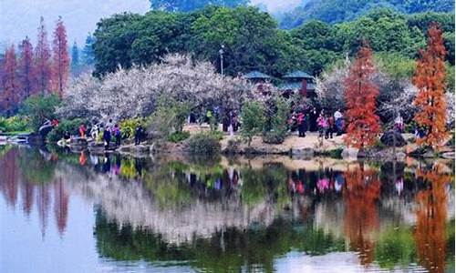 广州春季旅游景点有哪些-广州春季旅游景点