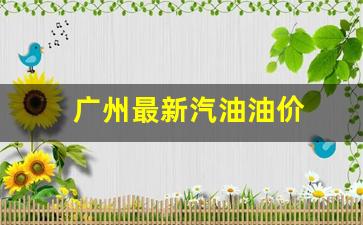 广州最新汽油油价-广州汽油价钱