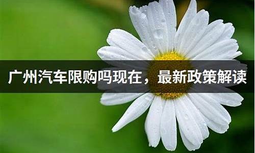 广州机动车限购吗,广州汽车限购政策最新消息查询