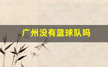广州几只篮球队-广州没有篮球队吗
