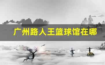 路人王篮球在哪里报名-广州路人王篮球馆在哪里