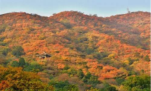 广州香山公园要门票吗_广州香山公园要门票吗多少钱