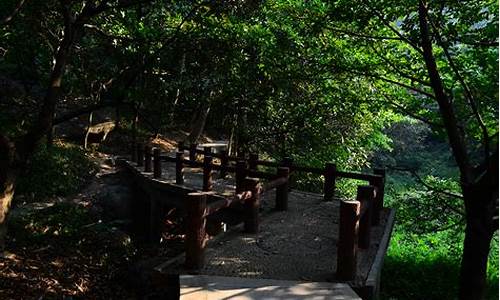 广州龙头山需要门票吗,广州龙头山森林公园多高