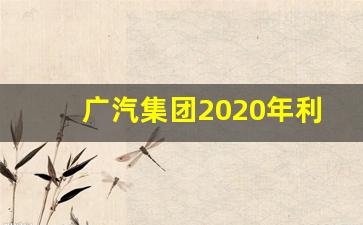 广汽集团2020年利润分布(广汽集团净利润)_https://www.gzyhshgzzx.com_大商所_第1张