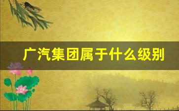 广汽集团属于什么级别的国企(广汽集团是不是央企)_https://www.jnskb.com_装修公司_第1张