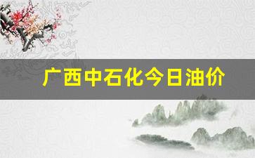 广西中石化今日油价-广西中石化今日油价92汽油