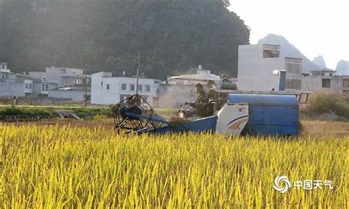 平果县的天气_广西天等平果天气