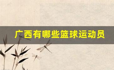 广西篮球名人-广西有哪些篮球运动员