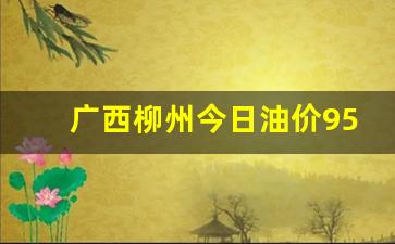 广西柳州今日油价95汽油_广西柳州今日油
