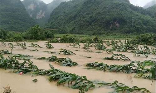 广西柳州兴安天气情况_广西柳州兴安天气