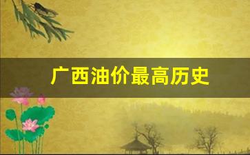 广西油价格表_广西油价最高历史