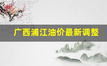广西今日油价查询-广西浦江油价最新调整