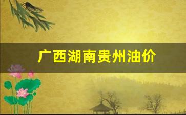 广西湖南贵州油价_当前贵州油价