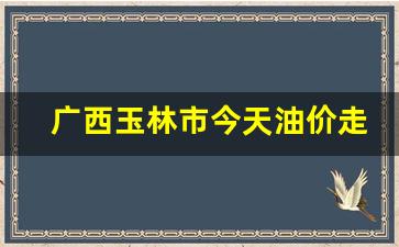 今天玉林最新石油价格-广西玉林市今天油价