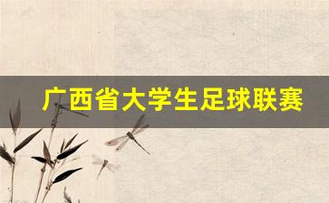 全国重点高校广西校友足球联赛-广西省大学生足球联赛
