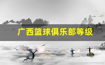 广西篮球俱乐部等级-广西篮球培训学校