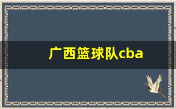广西篮球队员篮江简历-广西篮球队cba