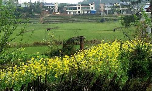 广西马坪天气预告_广西马坪天气预报