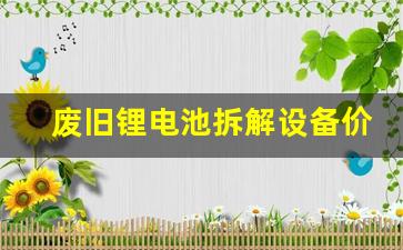废旧锂电池拆解设备价格(废旧锂电池拆解环评)_https://www.wanyuyiyao.com_上交所_第1张