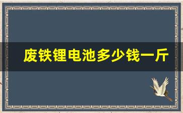 废铁锂电池多少钱一斤(铁锂废电池多少一吨)_https://www.czytfl.com_期货交易_第1张