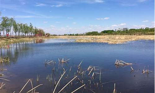 康平卧龙湖_康平卧龙湖多大面积