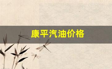 康平汽油价格_帕金斯柴油发电机生产厂家