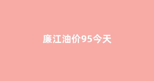 廉江24小时加油站_廉江油价95今天