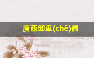 廣西卸車(chē)鶴管廠家電話(huà)(卸車(chē)鶴管拉斷閥安裝示意圖)(1)