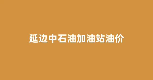 延边中石油加油站油价_延边中石油加油站油价查询