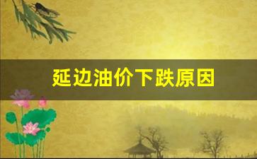 延边油价下跌原因-延边油价查询