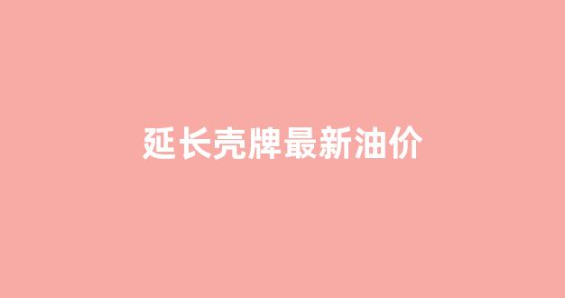 延长壳牌最新油价_延长壳牌油价查询
