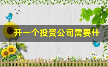 开一个投资公司需要什么条件(开个投资公司需要具备哪些能力)_https://www.dongshengweixin.com_创业板_第1张