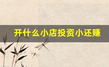 开什么小店投资小还赚钱(女人没经验开什么店好)_https://www.lclxwz.com_上期所_第1张
