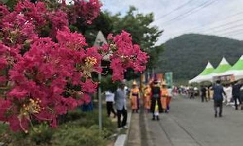 开原天气预报30天_开原天气预报30天查询最新消息及时间