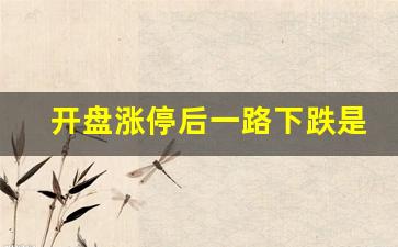 开盘涨停后一路下跌是什么原因(开盘就涨停)_https://www.wanyuyiyao.com_北交所_第1张