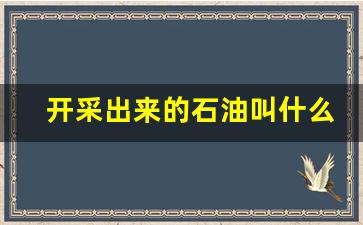 开采出来的石油叫什么(开采石油的机器叫什么名)_https://www.hn-life.com_上交所_第1张